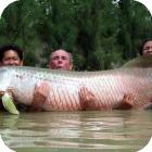 Экстремальная рыбалка: отправляемся на Амазонку